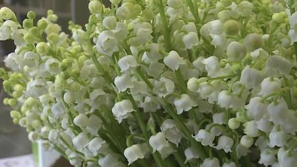 1er mai : les fleuristes se préparent à vendre du muguet