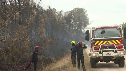 Incendies en Gironde : au cœur d'une équipe de pompiers qui luttent contre les flammes (France 2)