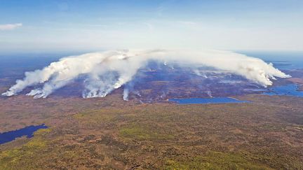 Des incendies dans le comté de Shelburne, en Nouvelle-Ecosse (Canada), le 31 mai 2023. (HANDOUT / NOVA SCOTIA GOVERNMENT / AFP)