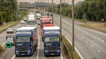 Deux convois de camions convergent vers Calais, lundi 5 septembre, pour exiger&nbsp;le démantèlement de la "jungle". (PHILIPPE HUGUEN / AFP)