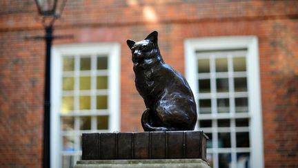 "Talking statue", statue qui parle, ici le chat "Hodge" de Samuel Jonhson, à Londres (2 octobre 2014)
 (Carl Court / AFP)