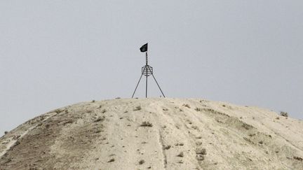 &nbsp; (Un drapeau de l'organisation Etat Islamique flotte sur une colline dominant la ville de Raqqa/ Reuters)