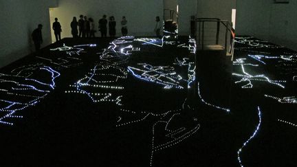 L’œuvre de l’artiste égyptien à la Biennale, « Surface de diffusion spectrale », est une vue aérienne du Caire la nuit. Dix mille ampoules LED et quelque vingt-trois mille connexions alimentées par quinze sources d’électricité reconstituent foyers et édifices. Chaque bloc d’alimentation se déclenche en fonction des ondes sonores qui encerclent l’installation. Connectée à l’intensité lumineuse, la bande-son(Le Caire, la nuit) enveloppe le visiteur, provoquant des souvenirs diffus, comme contenus dans l’enceinte même d’une mégalopole en modèle réduit.
 (Anne-Sophie Saboureau)