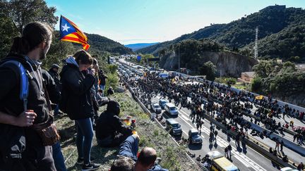 Des manifestants sur l'autoroute A9, le 11 novembre.&nbsp; (MICHEL CLEMENTZ / MAXPPP)