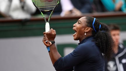 La légendaire rage de Serena Williams (MARTIN BUREAU / AFP)