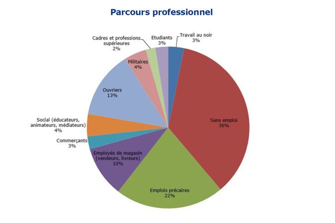 Le parcours professionnel de 124 personnes condamnées pour des faits de terrorisme entre 2004 et 2017. (IFRI)