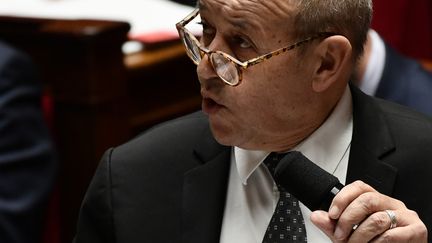 Le ministre des Affaires étrangères, Jean-Yves Le Drian, lors d'une session de questions aux gouvernement à l'Assemblée nationale le 19 décembre 2018. (PHILIPPE LOPEZ / AFP)