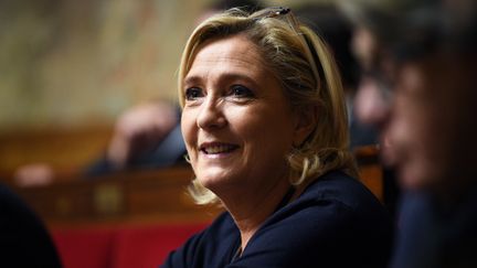 Marine Le Pen, lors d'une session de questions à l'Assemblée nationale, le 14 novembre 2018. (ERIC FEFERBERG / AFP)