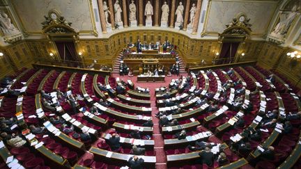 Vue g&eacute;n&eacute;rale du S&eacute;nat, &agrave; Paris, le 13 novembre 2012. (JOEL SAGET / AFP)