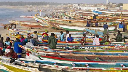 Le port de Kayak est le plus grand port de pêche au Sénégal. Les prises y sont de plus en plus maigres comme sur toute la côte ouest-africaine. (Photo AFP/Bruno Morandi)