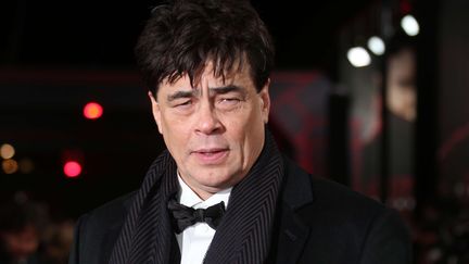 L'acteur Benicio Del Toro en décembre 2018.
 (WENN/SIPA)