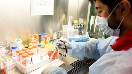 Scientifique dans un laboratoire de recherche à l'Institut Pasteur, à Paris, le 21 juillet 2017. (BERTRAND GUAY / AFP)