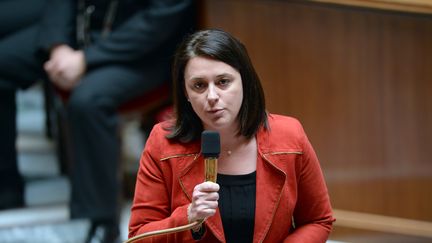 Sylvia Pinel, ministre de l'Artisanat, du Commerce et du Tourisme, &agrave; l'Assembl&eacute;e nationale, le 16 avril 2013. (MARTIN BUREAU / AFP)