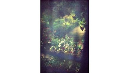 Giverny, juin 2011
 (Bernard Plossu)