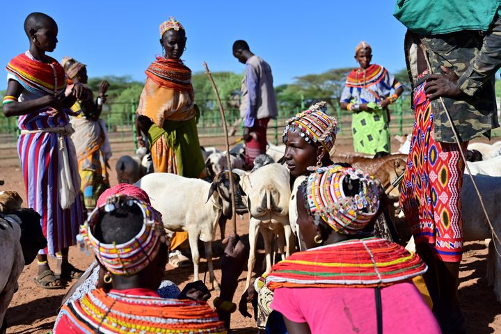 A 411 km au nord de la capitale Nairobi, ces éleveuses de chèvres s'apprêtent à vendre leurs bêtes au marché de Merille, dans la province de Marsabit (30 avril 2019). (TONY KARUMBA / AFP)