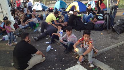 Des migrants assis le long de la fronti&egrave;re serbo-hongroise &agrave; Horgos, le 16 septembre 2015. (ELISE LAMBERT / FRANCETV INFO)