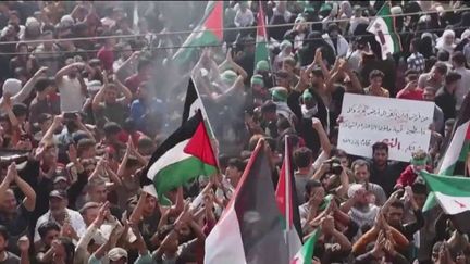 Le monde arabe soutient la Palestine et les habitants de la bande de Gaza. Les manifestations se multiplient dans plusieurs pays.