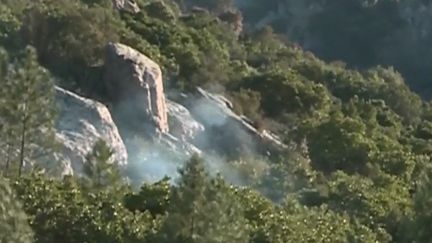 Incendies en Corse : 1 650 hectares partis en fumée