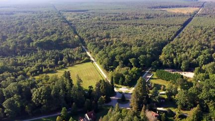 Réchauffement climatique : les forêts françaises en grand danger