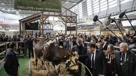 Emmanuel Macron au Salon de l'Agriculture, le 24 février 2024. (CHRISTOPHE PETIT TESSON / POOL)