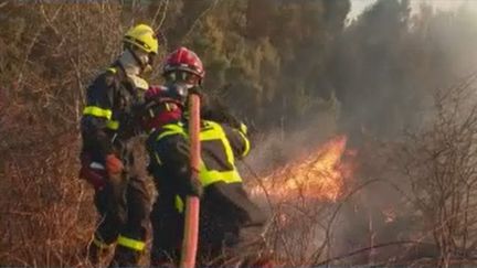 D'autres incendies font des ravages en Corse et se révèlent très difficiles à éteindre. La journaliste de France Télévisions Audrey Richier est en direct d'Ortale (Haute-Corse) pour faire le point sur la situation. (FRANCE 2)