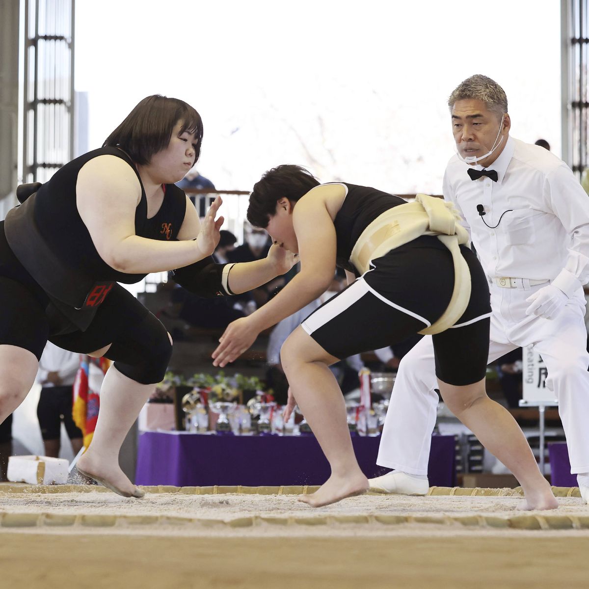 VIDEO. Au Japon, le combat des pionnières du sumo