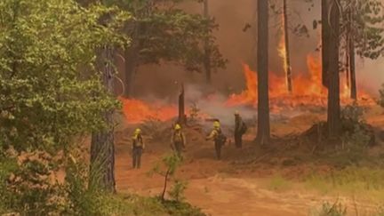 La Californie fait face à un incendie "explosif", selon les termes des pompiers mobilisés, dont le combat est de plus en plus difficile. (CAPTURE ECRAN FRANCE 2)