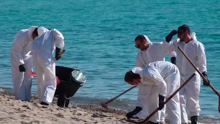 Dégazage sauvage d’un navire en Corse : l’opération de nettoyage mobilise toute l’île