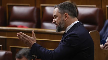 Santiago Abascal, le&nbsp;président du parti Vox, à Madrid, le 27 avril 2022. (J.J.GUILL?N / EFE)