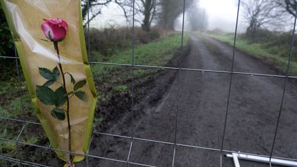 Une rose déposée sur une grille qui bloque l'accès au domicile d'Hubert Caouissi, le 10 mars 2017, qui a avoué&nbsp;avori tué les quatre membres de la famille Troadec.&nbsp; (FRED TANNEAU / AFP)