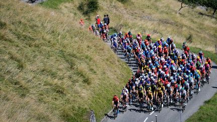 Le peloton du Tour de France lors de la 8e étape, entre&nbsp;Cazères-sur-Garonne (Haute-Garonne) et Loudenvielle (Hautes-Pyrénées), le 5 septembre 2020. (DAVID STOCKMAN/BELGA MAG / AFP)