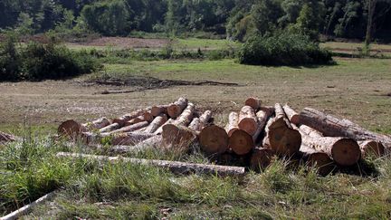 &nbsp; (Le projet de barrage de Sivens suscite l'opposition des écologistes, au nom de la préservation des espèces animales et végétales. © MaxPPP)