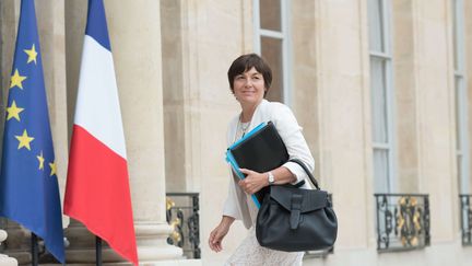 Annick Girardin, la ministre des Outre-mer, sur le perron de l'Elysée, le 24 mai 2017.&nbsp; (JACQUES WITT/SIPA)