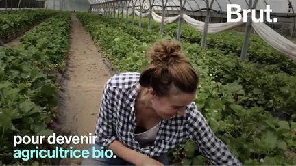 Florence a quitté son métier de journaliste dans un magazine féminin pour devenir agricultrice. Elle raconte ce qui l'a poussée à faire ce choix inattendu.