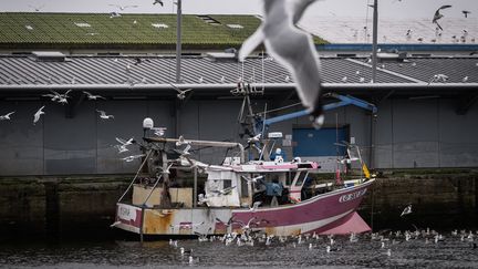 Un bateau de pêche à Lorient (Morbihan), le 23 janvier 2024. (LOIC VENANCE / AFP)