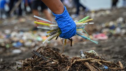 Des pailles en plastique ramassées par un volontaire sur la plage de Baseco, à Manille, la capitale des Philippines, le 21 septembre 2024. (JAM STA ROSA / AFP)