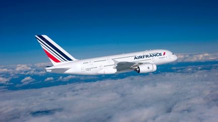 &nbsp; (L'objectif est de stabiliser les émissions de CO2 du transport aérien d’ici 2020 © Air France / A380)