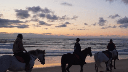 Le 13 Heures Découverte poursuit sa plongée au cœur des Landes. Focus, ce jeudi 4 juillet, sur une piste cyclable en pleine nature, du kayak nocturne et une randonnée à cheval au coucher du soleil. (France 2)