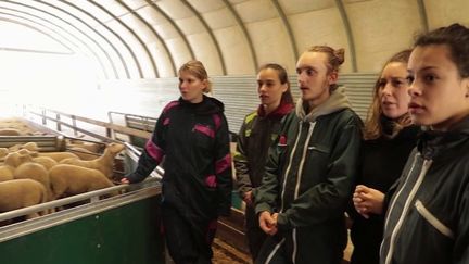 Agriculture : à Rambouillet, des étudiants rêvent de devenir agriculteurs