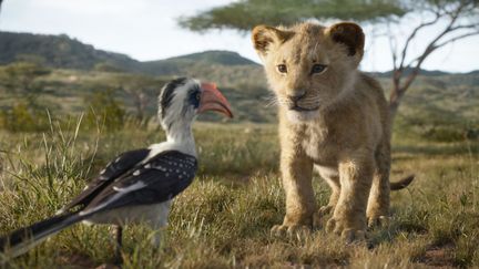 Le remake du "Roi Lion" a été réalisé en images de synthèse.&nbsp; (DISNEY ENTREPRISES)