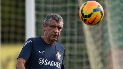 Fernando Santos mise tout sur Cristiano Ronaldo (FRANCISCO LEONG / AFP)