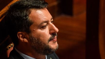 Matteo Salvini est "un homme qui est dangereux pour l'Italie, dangereux pour l'Europe, et dangereux pour la démocratie", selon P. Martin-Genier, spécialiste des questions européennes et enseignant à Sciences Po Paris.&nbsp; (ANDREAS SOLARO / AFP)