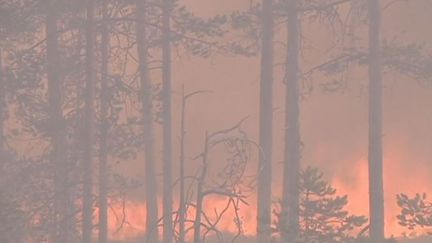 Sécheresse et canicule provoque de gigantesques feux de forêt en Europe