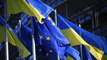 Des drapeaux européens et ukrainiens sont accrochés devant le Parlement européen à Strasbourg (Bas-Rhin), le 8 mars 2022. (FREDERICK FLORIN / AFP)