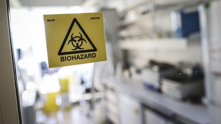 Un laboratoire du centre national de référence des virus respiratoires de l'Institut Pasteur, le 28 janvier 2020 à Paris. (THOMAS SAMSON / AFP)