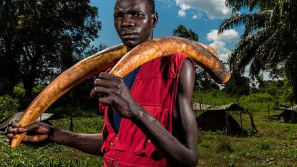 Les éléphants d’Afrique sont menacés par les braconniers qui convoitent leur ivoire. Mais depuis quelques années, plusieurs groupes terroristes du continent se livrent également au braconnage pour se financer : l’Armée de résistance du Seigneur, dont le théâtre d’opérations est à cheval sur plusieurs pays, la Séléka de la République centrafricaine, les Janjawids du Soudan, et les rebelles des FDLR dans le parc national des Virunga. Ce reportage pour le «National Geographic» de Brent Stirton porte sur la violence dont sont victimes les éléphants et les populations avoisinantes, et sur la poignée de courageux chargés de protéger ces animaux. ( Brent Stirton )