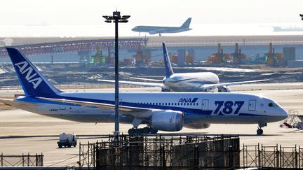 Un Boeing 787 Dreamliner de la compagnie a&eacute;rienne japonaise&nbsp;All Nippon Airways (ANA), le 31 janvier 2013 &agrave; Tokyo (Japon). (YOSHIKAZU TSUNO / AFP)