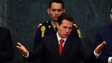 Donald Trump et Enrique Peña Nieto se rencontreront le 31 janvier à la Maison Blanche (RONALDO SCHEMIDT / AFP)