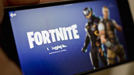 Fortnite : des avocats canadiens partent en guerre contre le jeu video (Cr&eacute;dits Photo : Domaine Public (steamXO))