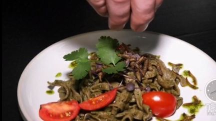 Afrique du Sud : un restaurant propose uniquement des insectes